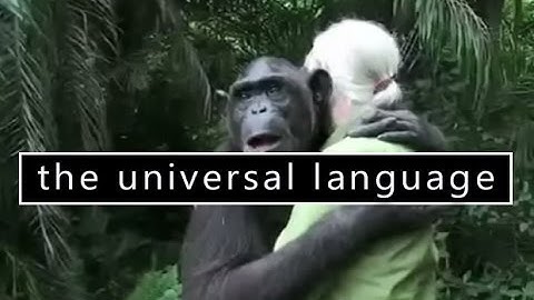 Kindness is a Universal Language