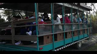 苗栗 通霄【飛牛牧場】→遊園車