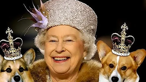 Che razza sono i cani della regina Elisabetta d'Inghilterra?