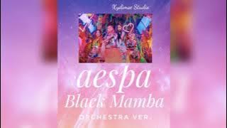aespa (에스파) - Black Mamba (orchestra ver.) | cover by Xydimse Studio