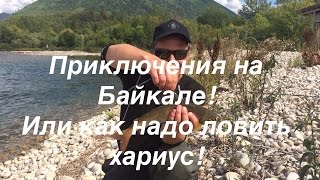 :   !- report Aug'16, Grayling, Lenok, Baikal rivers