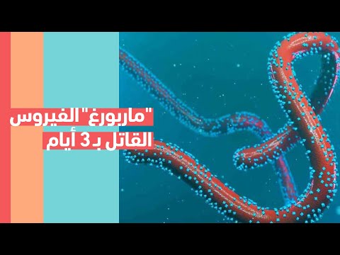 ماربورغ الخطير فيروس جديد يقتل خلال 3 أيام فقط