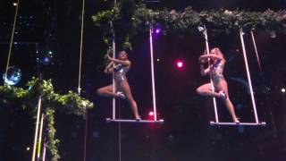 Trapeze Act at THODW