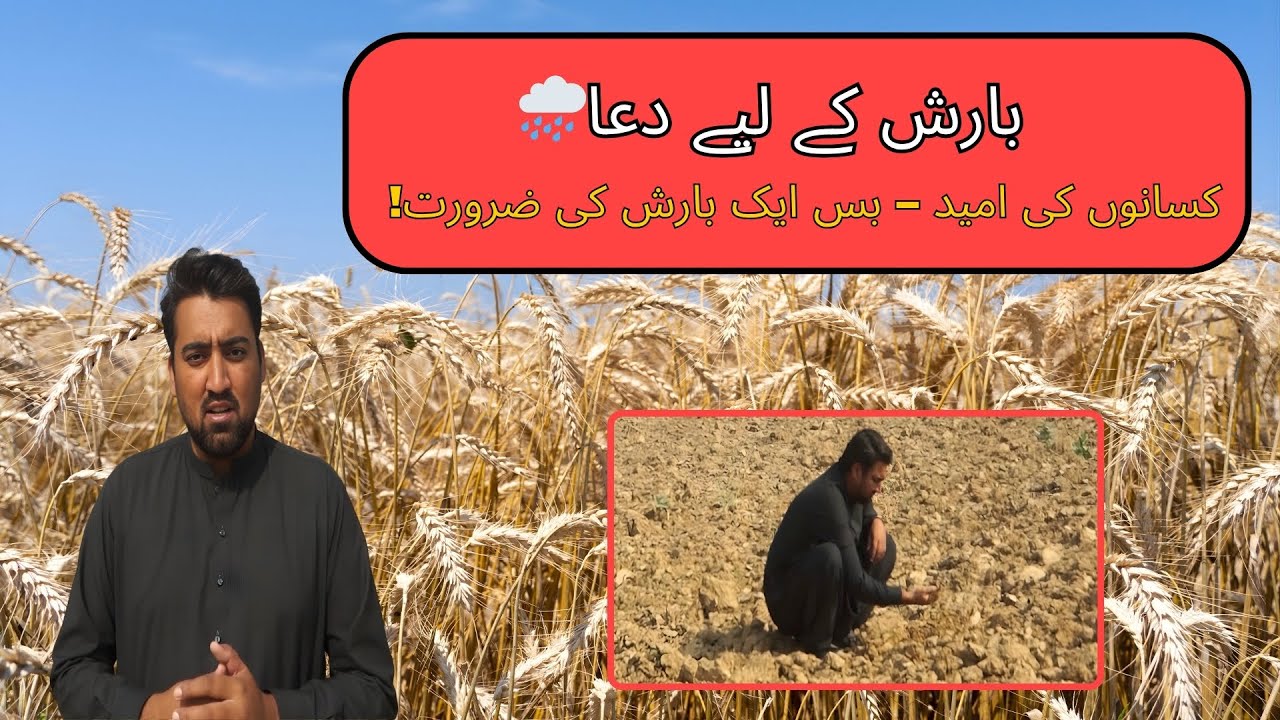 🌾 Gandum Ka Mousam Hai, Magar Barish Nahi! | Pray for Rain for Farmers