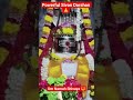 Madheswaran Temple Sivan Darshan 🙏 | Powerful Morning Blessings #shorts