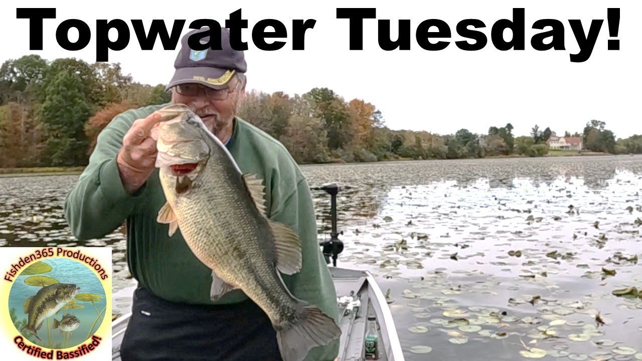 October Topwater Bass Fishing!
