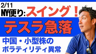 【2/11 米国株】テスラが急落！小型株のボラティリティが異常！