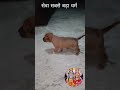 #vrindavanmarg #premanandjipravachan #radhagovindmaharaj #motivation #shridhamvrindavan #vrindavan
