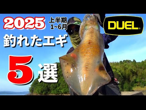 Eging] Ranking by number of catches in the first half of