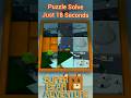 Super Bear Adventure Snow Valley Puzzle Solve