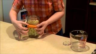 Lacto-Fermented Garlic