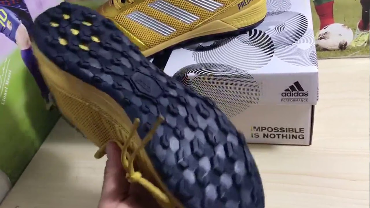 predator 18.3 society