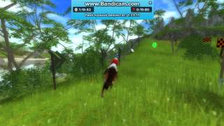 Star Stable Online Pony Race
