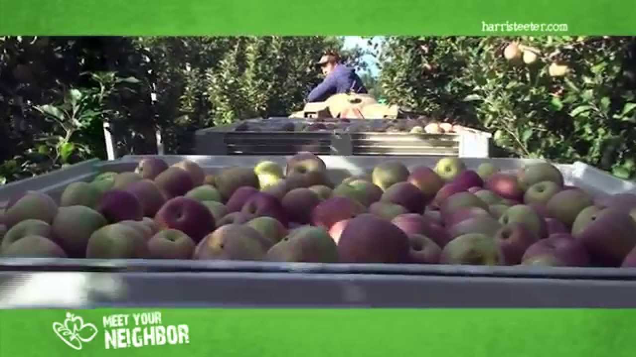 Meet Your Neighbor...Saunders Brothers Orchards Apples YouTube