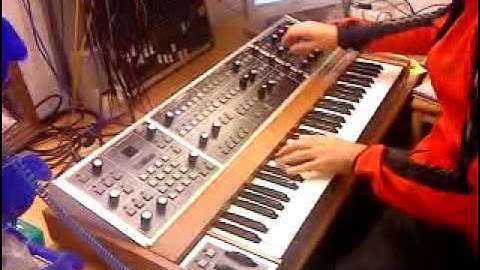 Memory Moog Plus