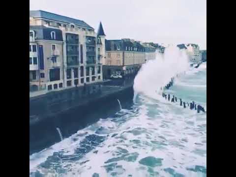 نداء شراره اني احب