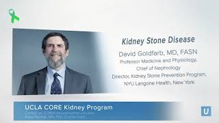 Medical Management of Kidney Stones | UCLA CORE Kidney Symposium 2020 | Anjay Rastogi, MD PhD