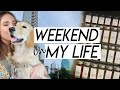 WEEKEND IN MY LIFE | crazy scary story time, organizing my kitchen, DIY spice jar labels!