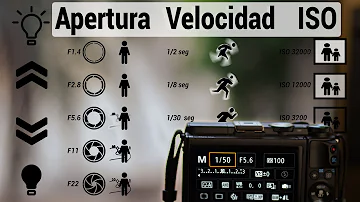 ¿Cuáles son los 3 componentes clave de ISO?