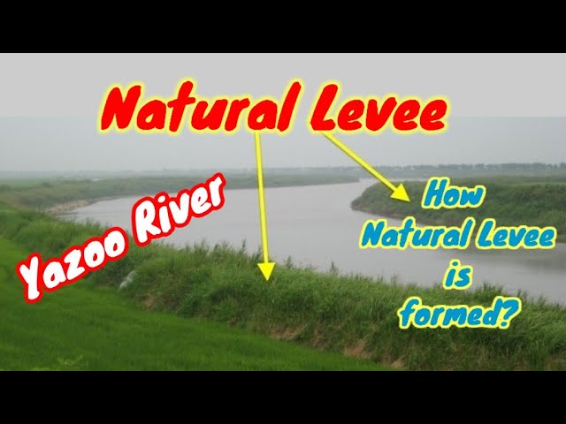What Are Natural Levees | Yazoo River| Formation & Characteristics|River  Depositional Landform - Youtube