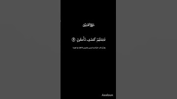 القران الكريم  سورة الفيل ❤️ #المصحف #beautiful #duet #howtolearnmadaniqaidaeasily