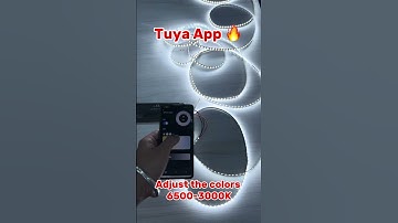 Tuya Smart Home Light #tuyasmart #homelight #homeautomation #smarthome #smartlighting #ledlightstrip