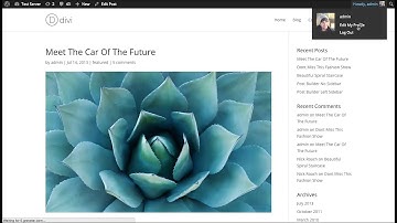 How To Use Triggers In Bloom