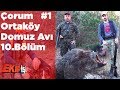 Çorum Ortaköy Domuz Avı 1 Ekip İşi 10.Bölüm Yaban Tv Wild Boar Hunting