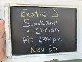 ‘Nick From Home’ #94 - Exotic S:   Swakane Gneiss & Chelan Migmatite