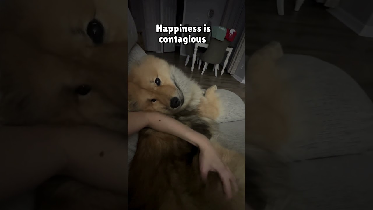 Happiness is contagious ❤️  