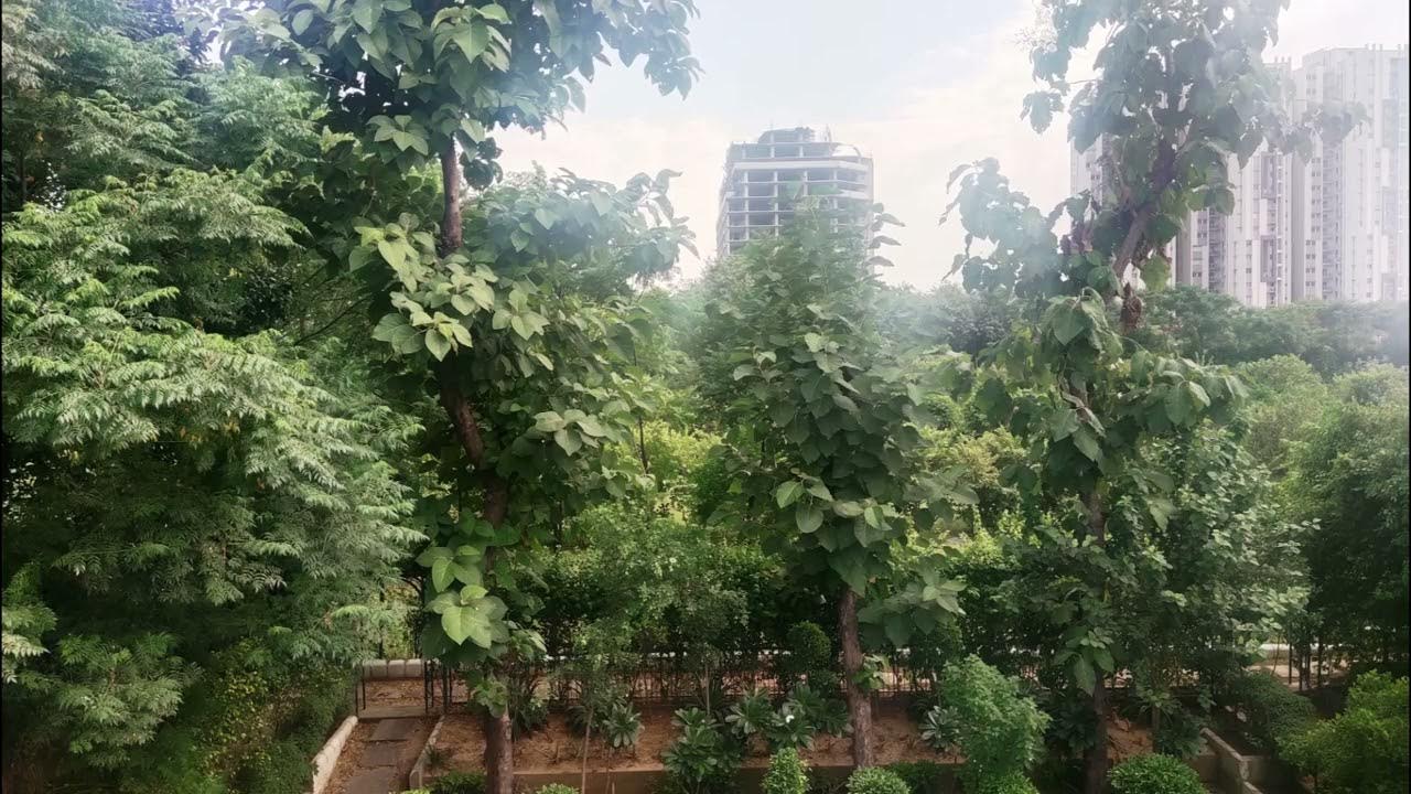 Agriculture Farm House Land for Sale Delhi Dera Mandi YouTube