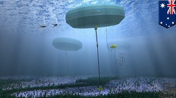 Renewable energy: CETO system converts sea waves into zero-emission electricity