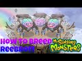 How to breed reebro