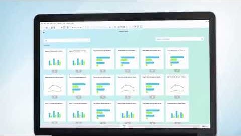 Dashboard Analysis & Business Intelligence with SAP Business One Powered by SAP HANA