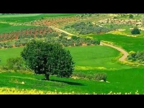 غدا سنعود للشاعر عبد الكريم الكرمي أبو سلمى