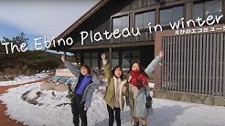 宮崎観光情報 旬ナビ Youtube 宮崎観光情報 旬ナビ Youtube