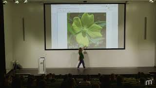M3 17: Oliver Zeigermann - Neural networks for beginners