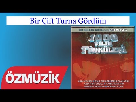 Bir Çift Turna Gördüm - Mehmet Erenler (Official Video)