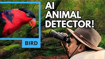 Using a NVIDIA Jetson Nano to Detect Wildlife!