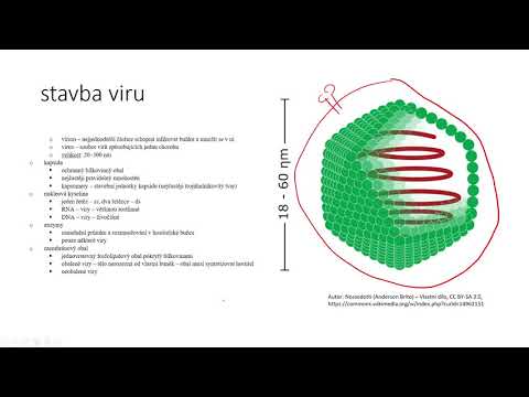 Video: 3 způsoby, jak rozeznat viry od bakteriální infekce