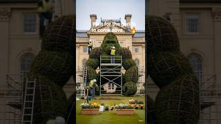 Giant Gorilla Topiary Build 🦍🌿 From Empty Lawn to Power Beast Masterpiece @carryMinati #shorts