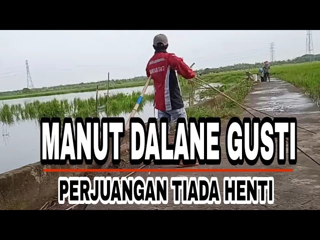 LIRIC MANUT DALANE GUSTI -  MUNGKIN PANCEN TAKDIRE AKU RO KOWE MELAKU DEWE DEWE class=