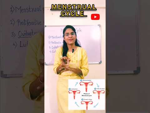 Menstruation 🩸 | What is ovulation ? | Ovulatory phase |#shorts #menstruation #cet #neet #video