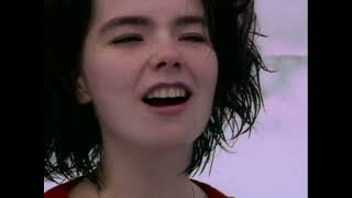 Miniatura del video "The Sugarcubes - Birthday (Official Music Video) [HD Upgrade]"