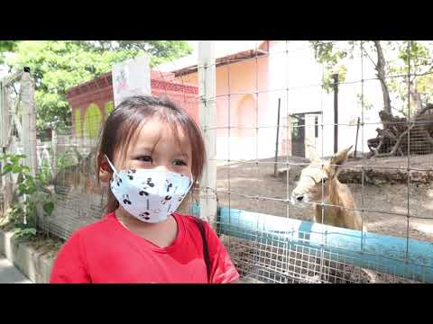 พาลูกเที่ยว วันหยุด ดูอูฐ ให้อาหาร ยีราฟ ที่ Camel Republic ชะอำ #เที่ยววันหยุด #พาลูกเที่ยว