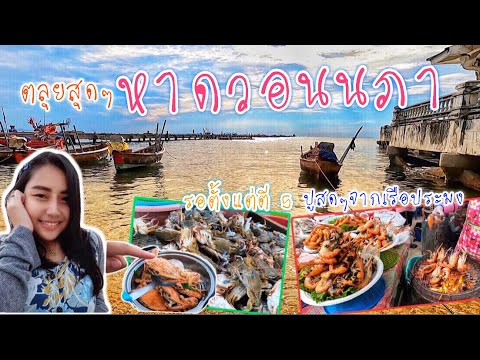 1day trip หาดวอนนภา ลุย1วันเต็มๆตลุยหาดวอนนภา ดักรอเรือประมง กินอาหารทะเลสดๆแต่เช้าๆหาดบางแสน ชลบุรี