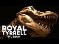 Royal Tyrrell Museum of Paleontology Walk-through | Dinosaur Museum Drumheller Alberta【4K】