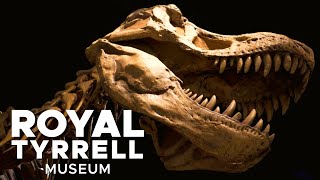 Journey Through the Age of Dinosaurs | WorldRenowned Royal Tyrrell Museum of Paleontology【4K】