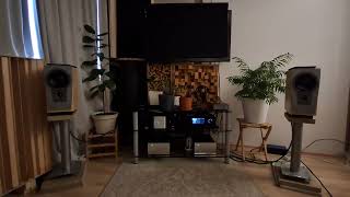 Dynaudio Contour S1.4 Avm M4 Eversolo Dmp A8 Dac