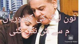 مریم نواز اور شہباز شریف کا اختلاف۔